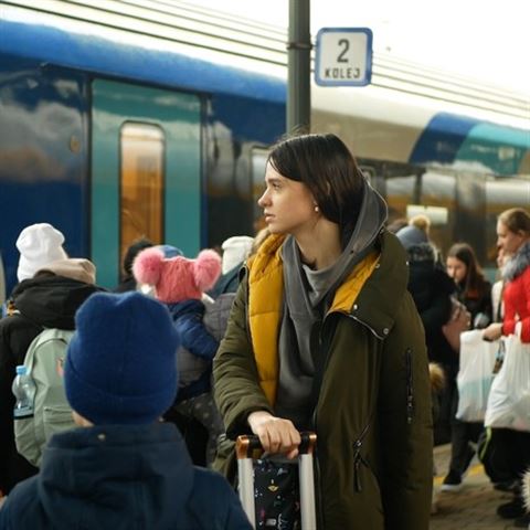Zatrudnić ukraińskich rodziców. Poprawi to warunki pracy dla wszystkich